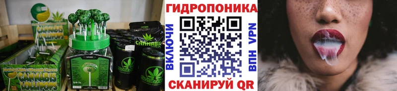 Canna-Cookies марихуана  купить наркоту  Шимановск 