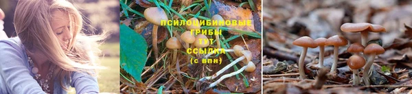 бутират Переславль-Залесский