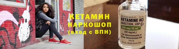 дмт Пересвет