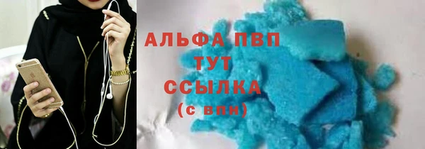 дмт Пересвет
