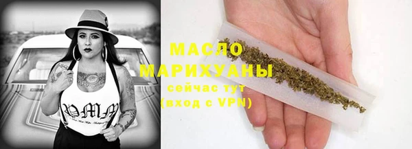 дмт Пересвет