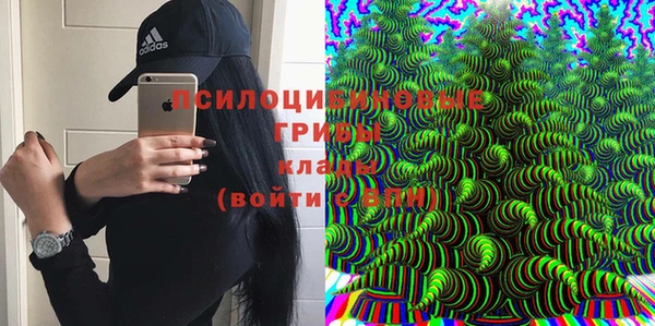 дмт Пересвет